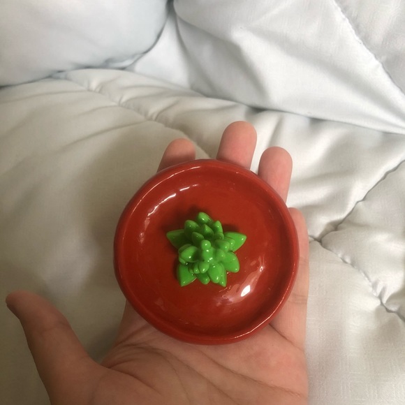 Handmade Polymer Clay Succulent Jewelry Dish - Picture 3 of 4